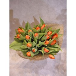 Bouquet de 20 tulipanes